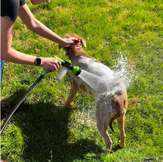 Dog Washing Jet