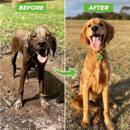 Dog Washing Jet